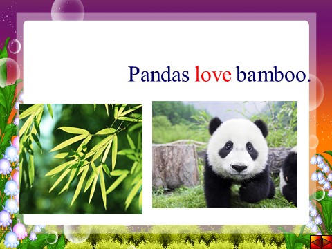六年级上册英语（外研三起点）Module 7 Unit 2 Pandas love bamboo. 课件第4页