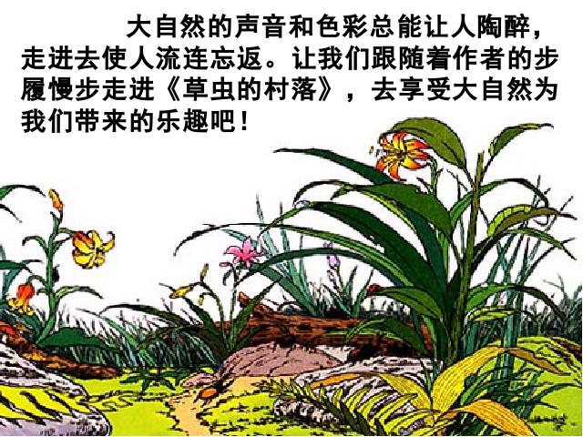 六年级上册语文《草虫的村落》ppt语文课件下载第5页