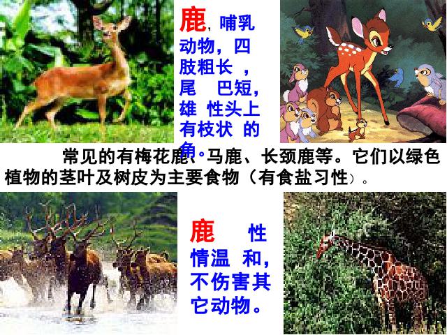 六年级上册语文语文第四组“第14课”《鹿和狼的故事》下第2页