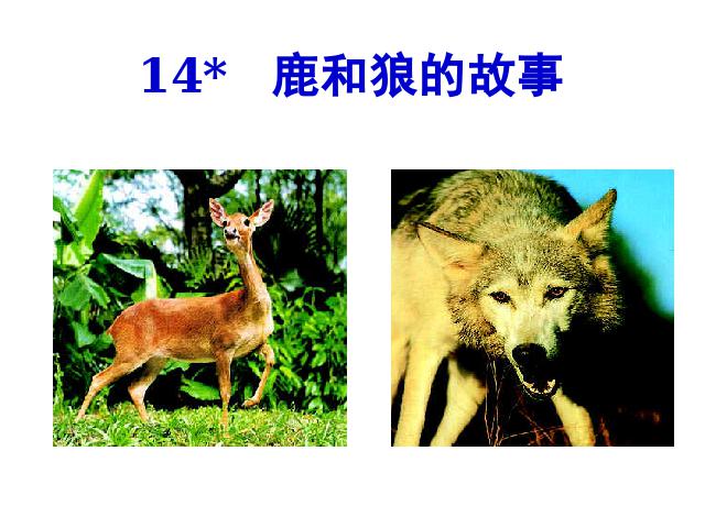 六年级上册语文语文第四组“第14课”《鹿和狼的故事》下第6页