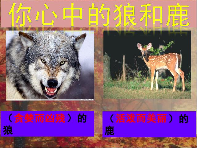 六年级上册语文语文《第14课：鹿和狼的故事》(第6页