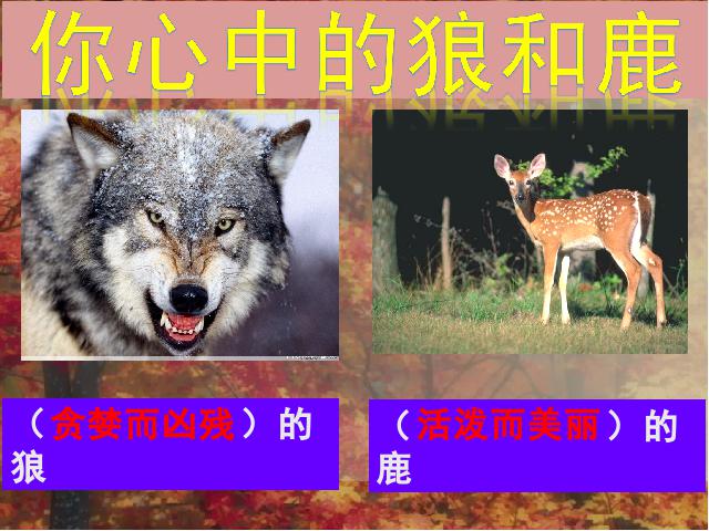 六年级上册语文语文《鹿和狼的故事》第2页