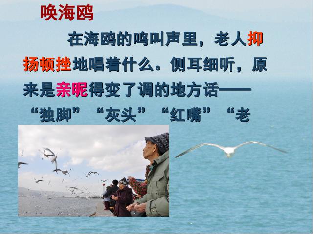 六年级上册语文语文“第21课”《老人与海鸥》第8页