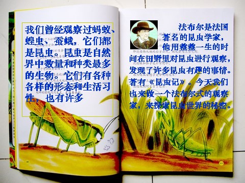 六年级下册科学（教科版）第一单元：放大镜下的昆虫世界PPT教学课件(六下)第2页