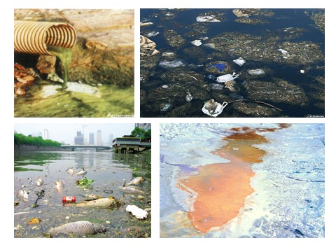 六年级下册科学（教科版）第四单元：污水和污水处理PPT教学课件(科学第2页