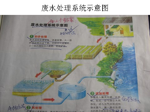 六年级下册科学（教科版）第四单元：污水和污水处理PPT教学课件(科学第8页