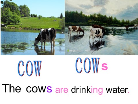 六年级下册英语（外研版三起点）英语优质课Unit2 The cows are drinking waterppt课件第3页