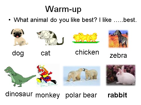 六年级下册英语(SL版)Unit 5 Nature and Culture Lesson 3--What animal do you like best第4页