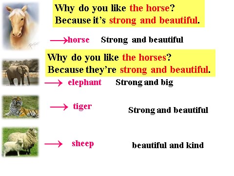 六年级下册英语(SL版)Unit 5 Nature and Culture Lesson 3--What animal do you like best第7页