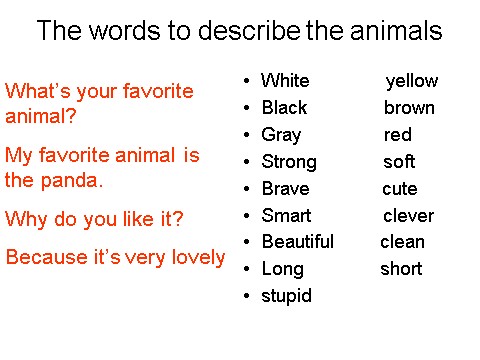 六年级下册英语(SL版)Unit 5 Nature and Culture Lesson 3--What animal do you like best第9页