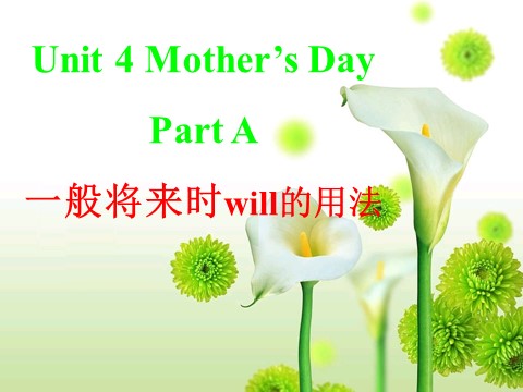 六年级下册英语（闽教版）Unit 4 Mother's Day Part A一般将来时will的用法第1页