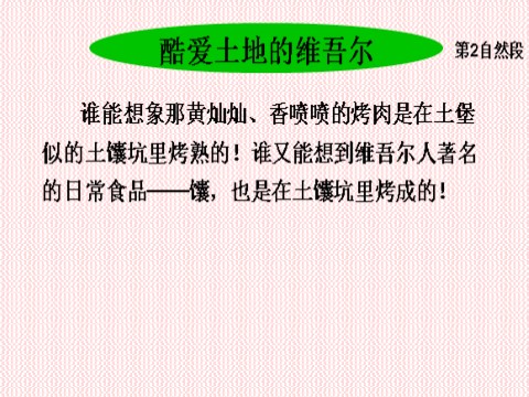 六年级下册语文和田的维吾尔人PPT1第10页