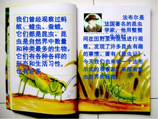 六年级下册科学教科版《第一单元：放大镜下的昆虫世界》()第2页