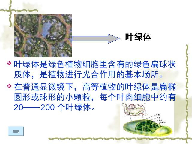 六年级下册科学科学《用显微镜观察身边的生命世界(二)》(教科版第4页