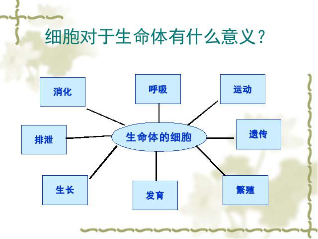 六年级下册科学科学《用显微镜观察身边的生命世界(二)》(教科版第7页