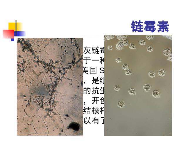 六年级下册科学教科版《微小世界和我们》(科学)第9页