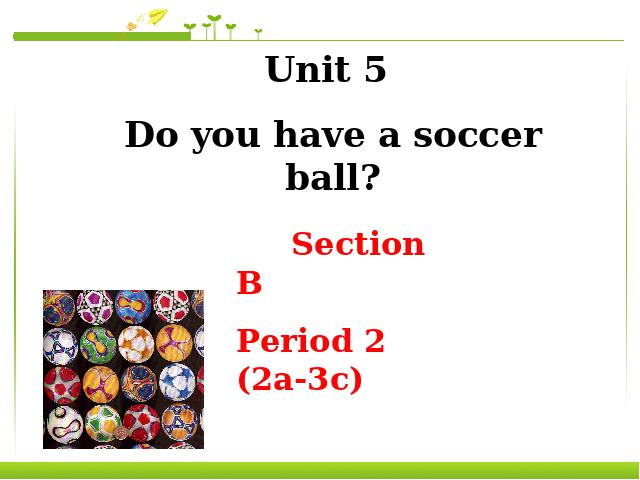 初一上册英语英语Unit5 Do you have a soccer ball精品第1页