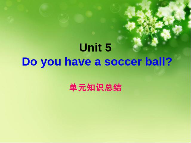 初一上册英语Unit5 Do you have a soccer ball重难点及语法第1页