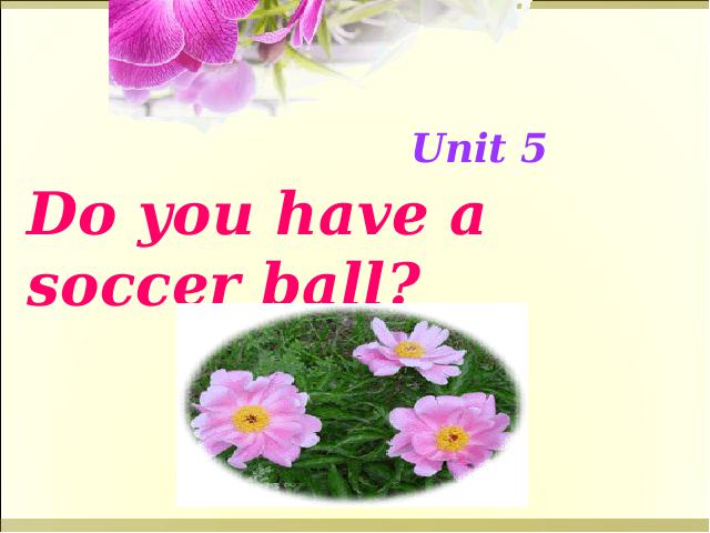 初一上册英语Unit5 Do you have a soccer ball Section B教研课第1页