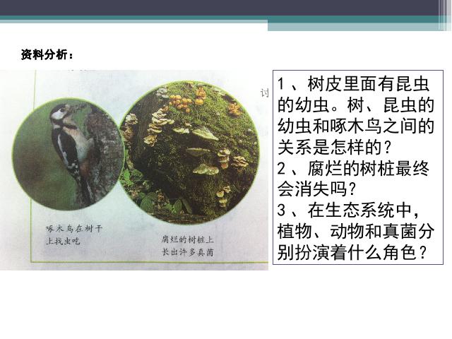 初一上册生物生物公开课ppt1.2.2生物与环境组成生态系统课件第7页