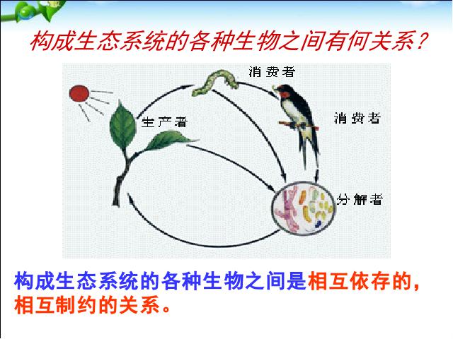 初一上册生物生物1.2.2生物与环境组成生态系统上课下载第6页