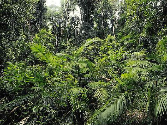 初一上册生物1.2.3生物圈是最大的生态系统PPT教学自制课件(生物)第3页