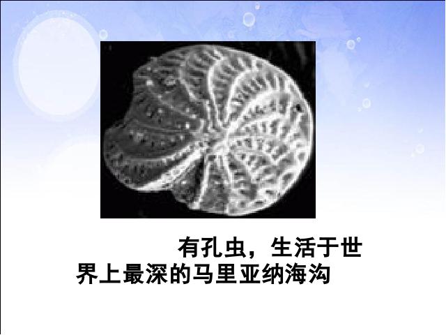 初一上册生物生物教研课ppt1.2.3生物圈是最大的生态系统课件第4页