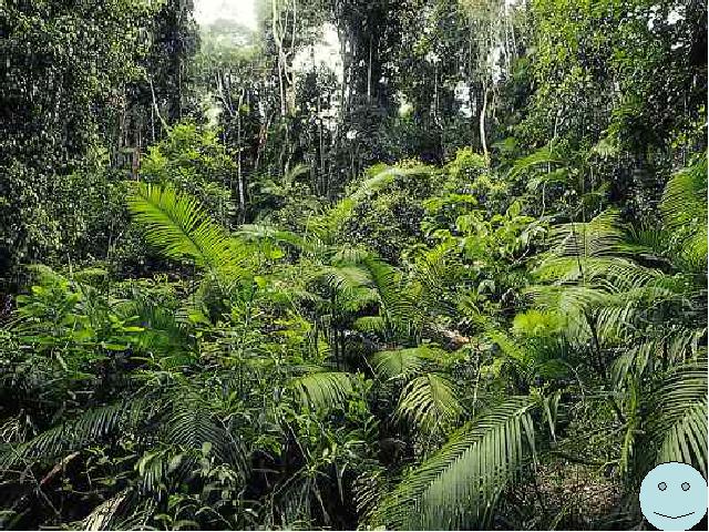 初一上册生物生物1.2.3生物圈是最大的生态系统教研课第10页