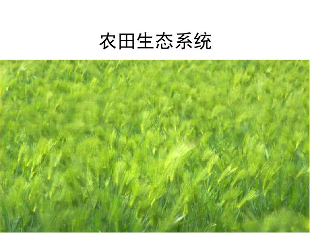 初一上册生物生物公开课ppt1.2.3生物圈是最大的生态系统课件第7页