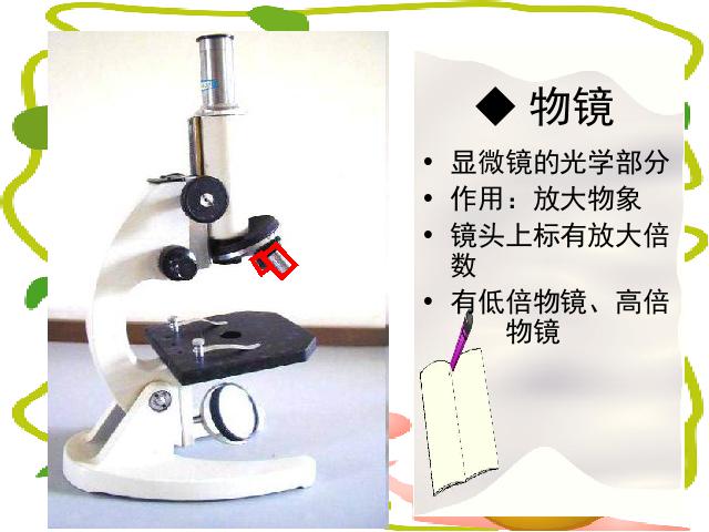 初一上册生物2.1.1练习使用显微镜生物公开课第9页