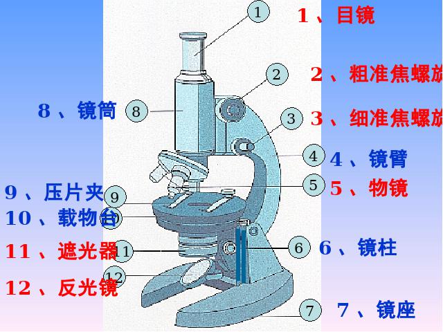 初一上册生物生物2.1.1练习使用显微镜优质课第5页