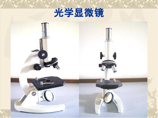 初一上册生物生物2.1.1练习使用显微镜ppt比赛获奖教学课件第3页