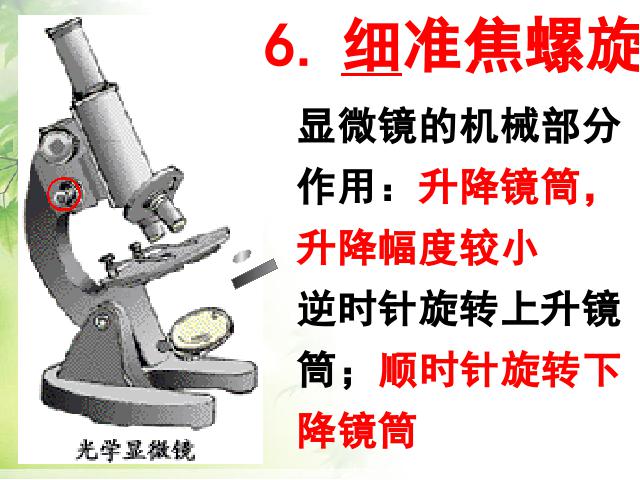 初一上册生物生物2.1.1练习使用显微镜教研课第5页