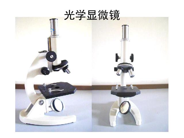 初一上册生物生物2.1.1练习使用显微镜优秀获奖第2页