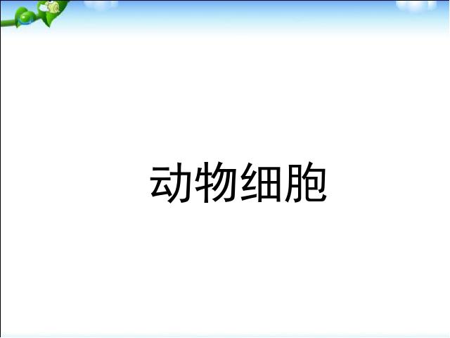 初一上册生物2.1.3动物细胞生物公开课第1页