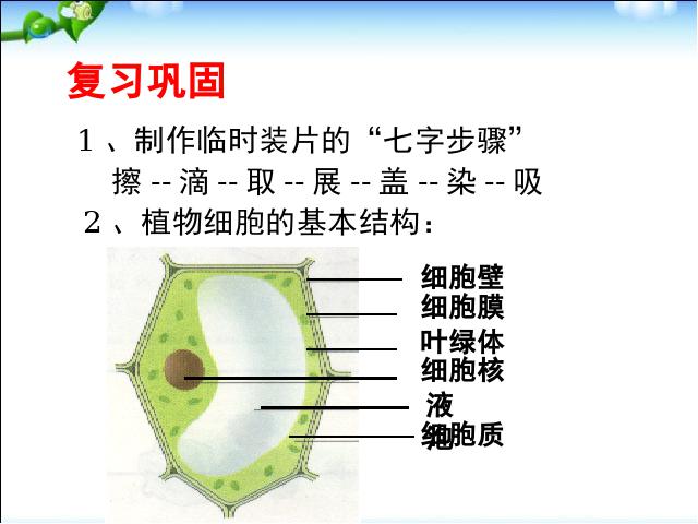 初一上册生物2.1.3动物细胞生物公开课第2页