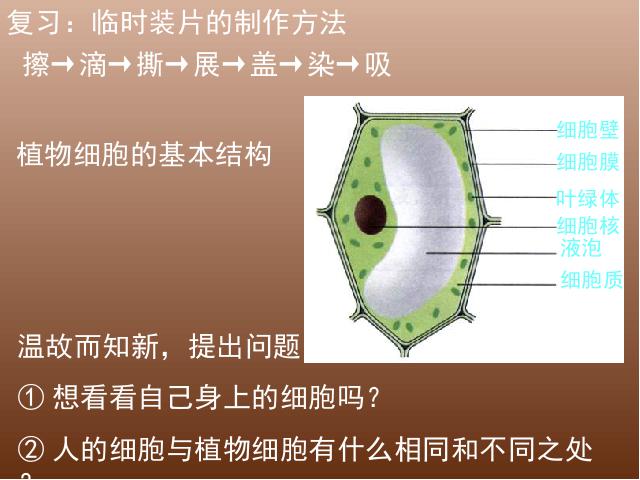 初一上册生物生物2.1.3动物细胞精品第2页