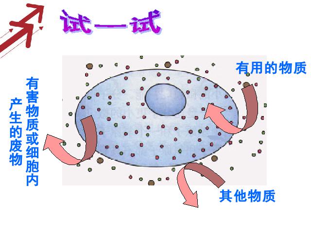 初一上册生物生物2.1.4细胞的生活优质课第9页