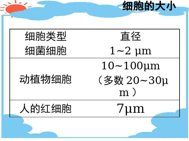 初一上册生物生物2.2.1细胞通过分裂产生新细胞优质课第5页