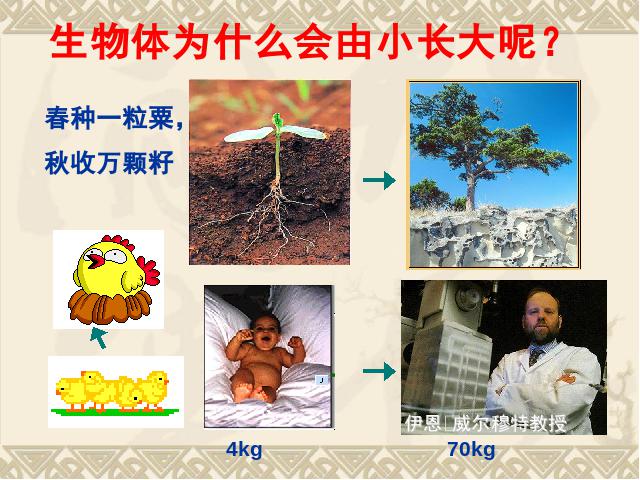 初一上册生物2.2.1细胞通过分裂产生新细胞ppt比赛获奖教学课件第2页