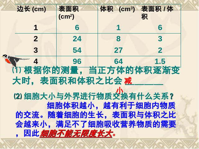 初一上册生物2.2.1细胞通过分裂产生新细胞ppt比赛获奖教学课件第8页