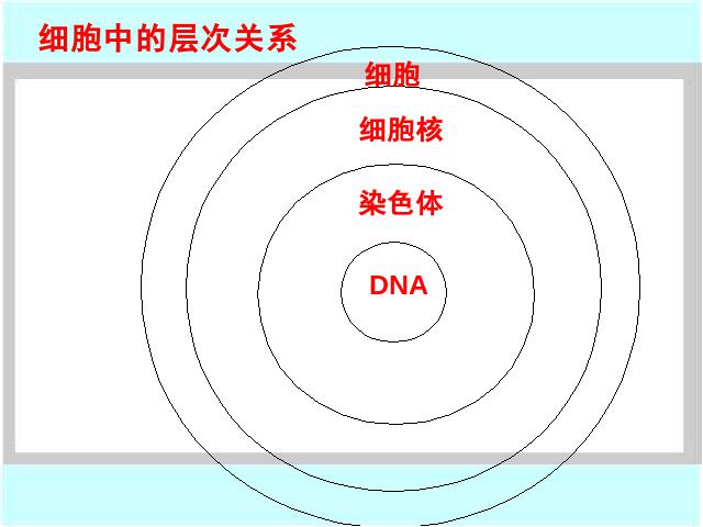 初一上册生物2.2.1细胞通过分裂产生新细胞PPT教学自制课件(生物)第10页