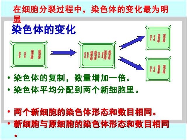 初一上册生物2.2.1细胞通过分裂产生新细胞PPT教学自制课件(生物)第9页