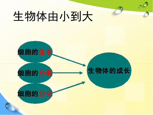 初一上册生物生物公开课ppt2.2.1细胞通过分裂产生新细胞课件第3页