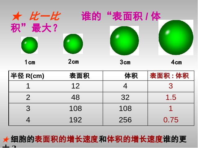 初一上册生物生物2.2.1细胞通过分裂产生新细胞优秀获奖第10页