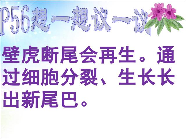 初一上册生物生物2.2.1细胞通过分裂产生新细胞精品第4页