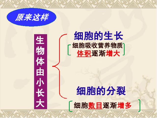 初一上册生物精品课件2.2.1细胞通过分裂产生新细胞ppt第6页