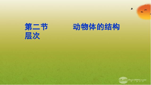 初一上册生物生物2.2.2动物体的结构层次优质课ppt课件下载第1页