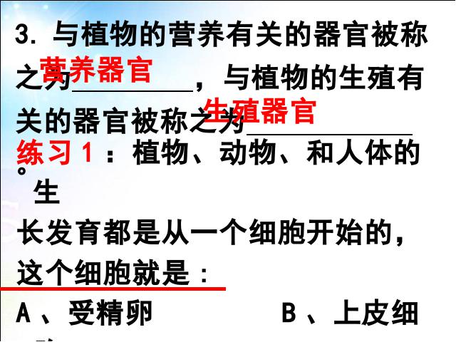 初一上册生物生物2.2.3植物体的结构层次上课下载第4页