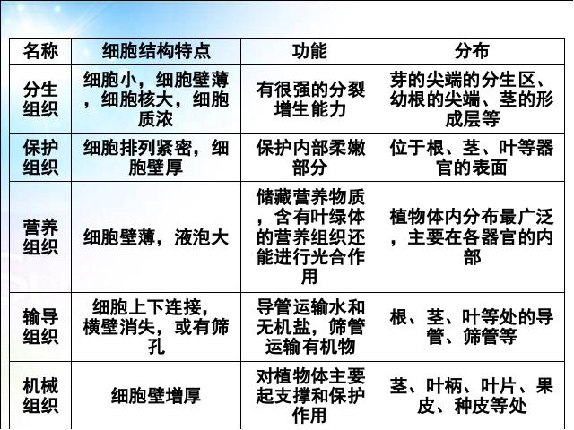 初一上册生物生物2.2.3植物体的结构层次上课下载第8页